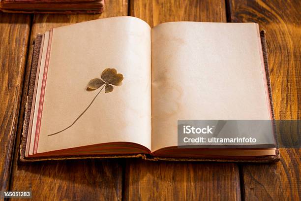 Виде Листа Клевера — стоковые фотографии и другие картинки Книга - Книга, Плоский, Лист