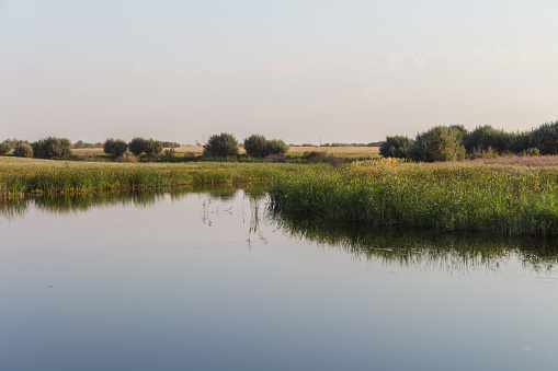 The Derkul River in the West Kazakhstan region. Calm river in the morning. Beautiful nature of Kazakhstan.