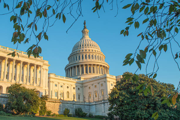 Aging Elected Officials - Age Limits on Political Positions