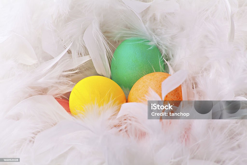 Coloridos huevos de Pascua en blanco de pluma - Foto de stock de Alimento libre de derechos