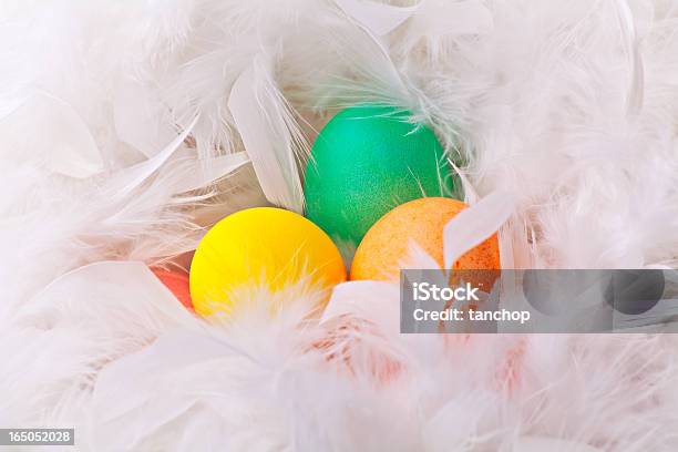 Coloridos Huevos De Pascua En Blanco De Pluma Foto de stock y más banco de imágenes de Alimento - Alimento, Colores, Culturas