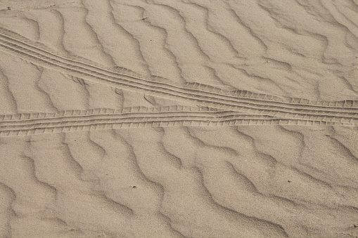 Car tracks in the sand. Car tire tracks in the sand on Lake Shalkar in the West Kazakhstan region.