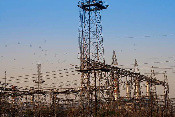 Electric Industry over blue sky there are tharmal power plant behind  the electric industry located in rural india. There are flying birds in sky giving it natural feeling.