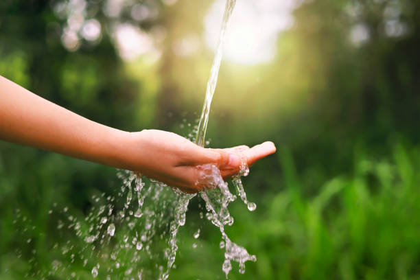 istock Water pouring on hand in morning ligth background 1650533799