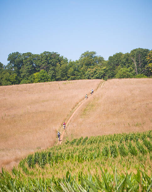 istock Mountain Bikers Ride Through a Farm Field 165054763