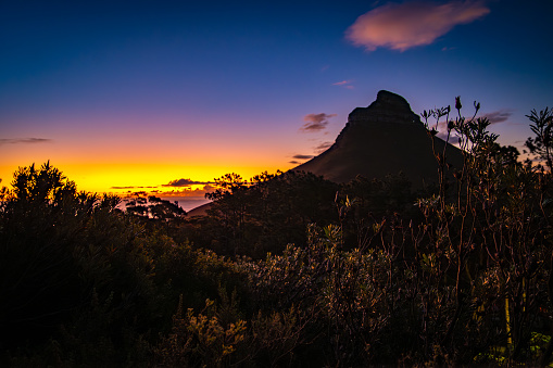 View of Lion's head from Kloof Corner hike at sunset in Cape Town, Western Cape, South Africa. High quality photo