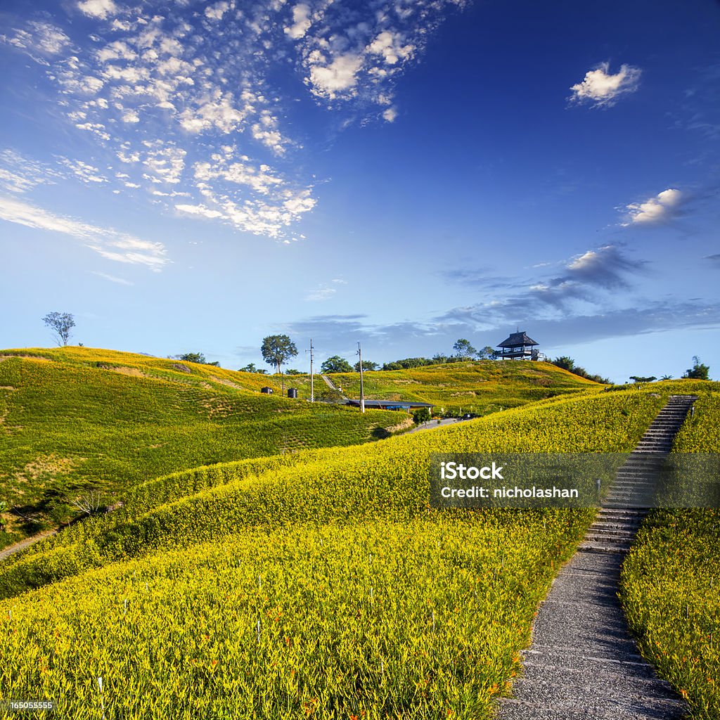 A primavera nos Alpes com mountain - Foto de stock de Alpes europeus royalty-free