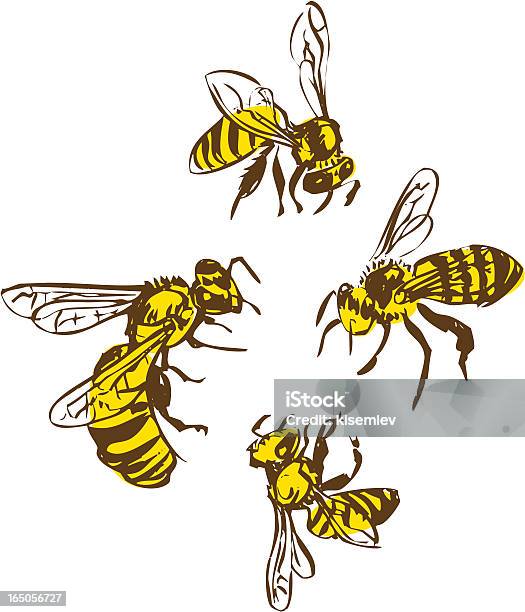 Оса И Bees — стоковая векторная графика и другие изображения на тему Оса - Оса, Иллюстрация, Жалить