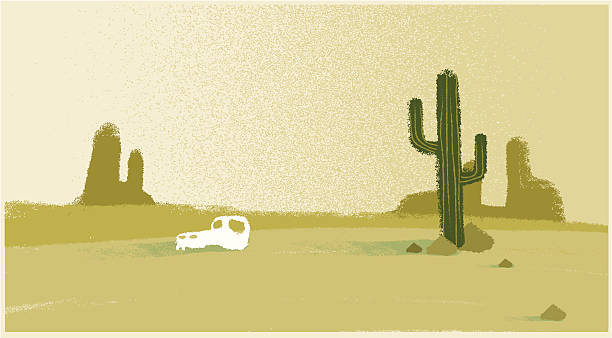 необитаемый пустыня - vector illustration and painting animal skull cactus stock illustrations