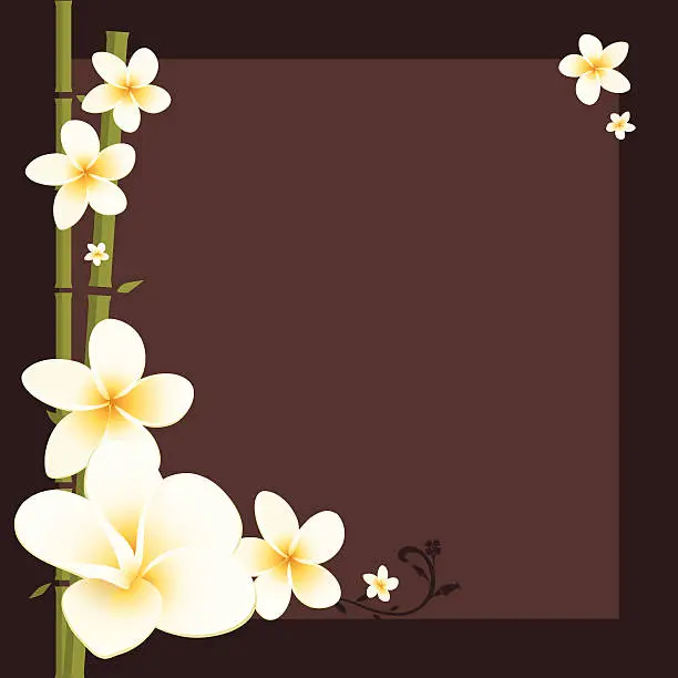 Vector illustration of White plumeria and bamboo frame