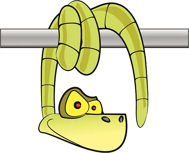 Vector illustration of Hanging Snake Cartoon