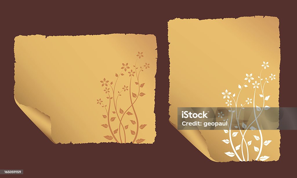 Antigo papel com estampado floral - Royalty-free Antigo arte vetorial