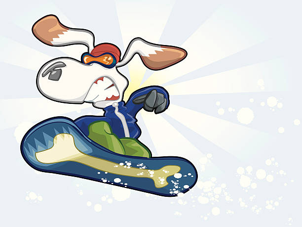 Snow Boarding Dog vector art illustration