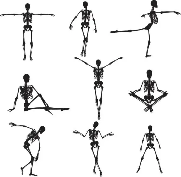 Vector illustration of Skeleton Silhouette Collection (vector+jpg)