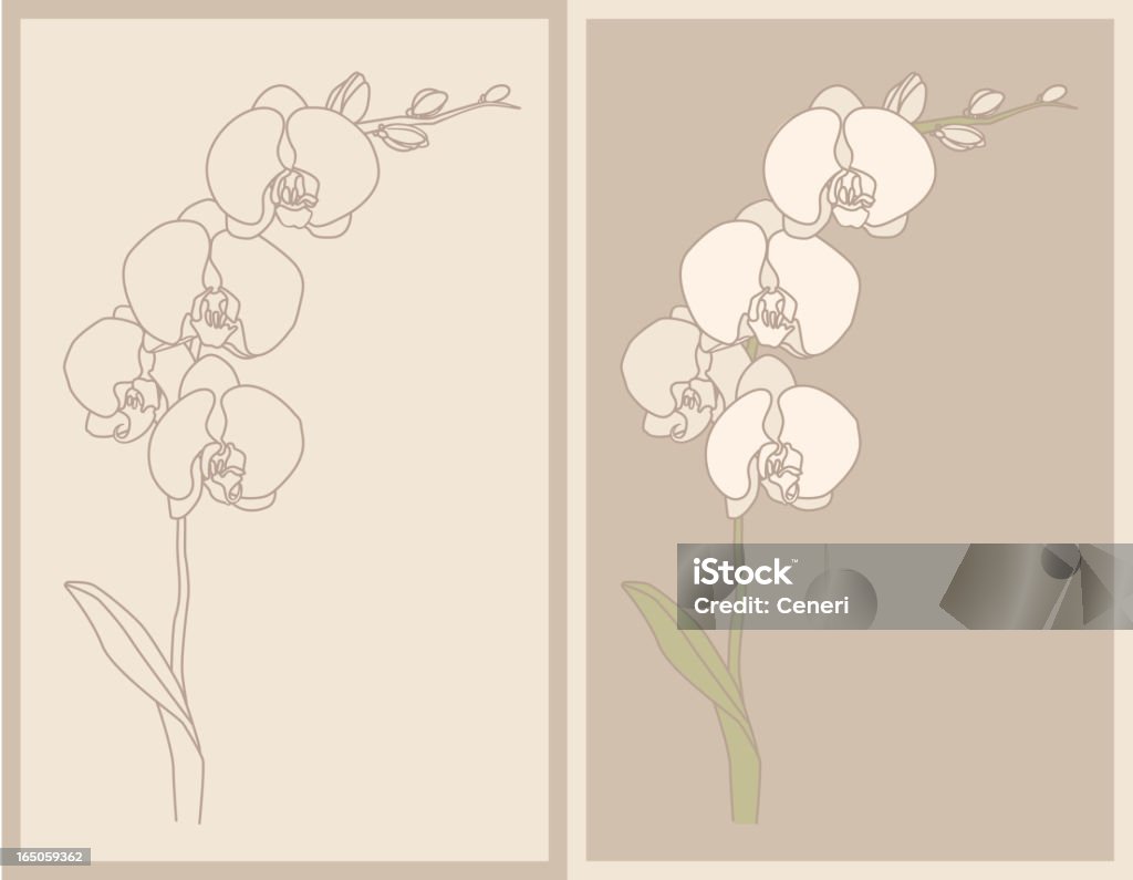 orchid - clipart vectoriel de Orchidée libre de droits