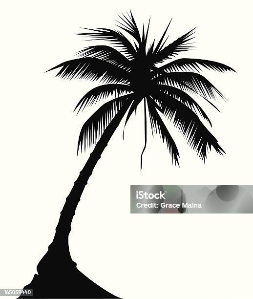 Palm Tree Vector Stock Illustration - Download Image Now - Abstract, Back Lit, Beach