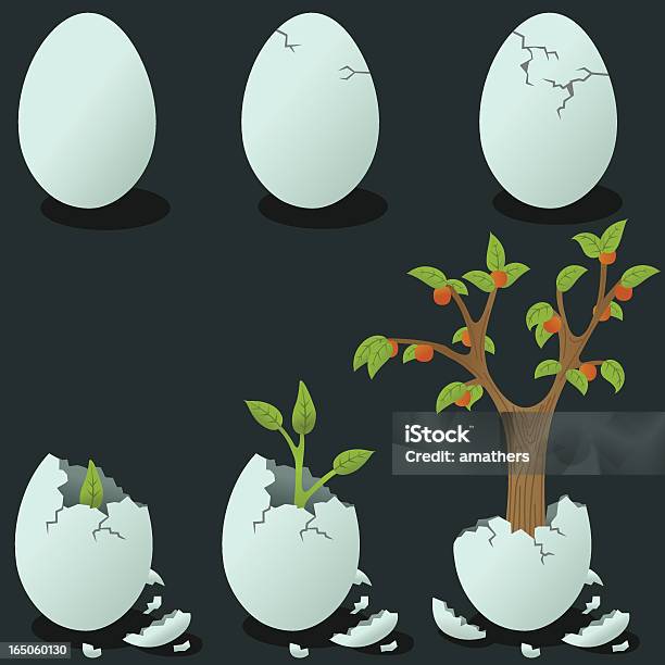 Éclosion Gratuit Vecteurs libres de droits et plus d'images vectorielles de Craquelé - Craquelé, Oeuf - Étape de fécondation animale, Image en couleur