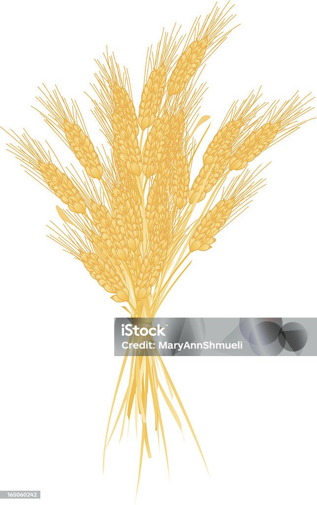 Пшеница - Векторная графика Без людей роялти-фри
