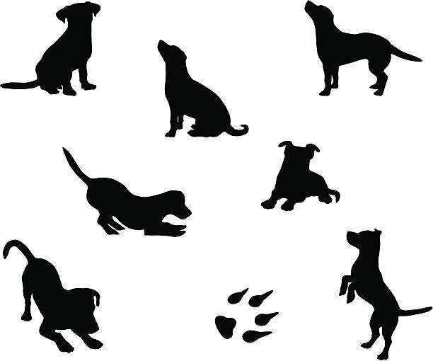 ilustraciones, imágenes clip art, dibujos animados e iconos de stock de siluetas de perros - dog sitting