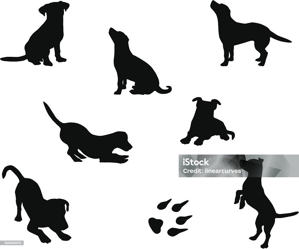 Dog silhouettes A collection of dog silhouettes in various poses. Dog stock vector