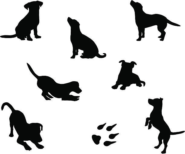 Dog silhouettes A collection of dog silhouettes in various poses. paw print illustrations stock illustrations