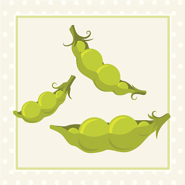 ilustrações de stock, clip art, desenhos animados e ícones de like two peas in a pod (expressão inglesa - conformity like two peas in a pod green pea pod