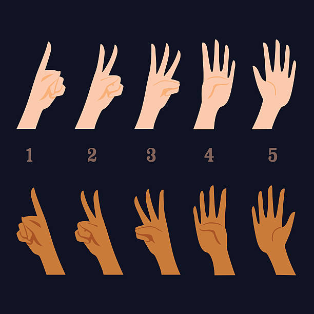 ilustrações, clipart, desenhos animados e ícones de permitido gesticular 1-5 - hand sign human hand sign language three fingers