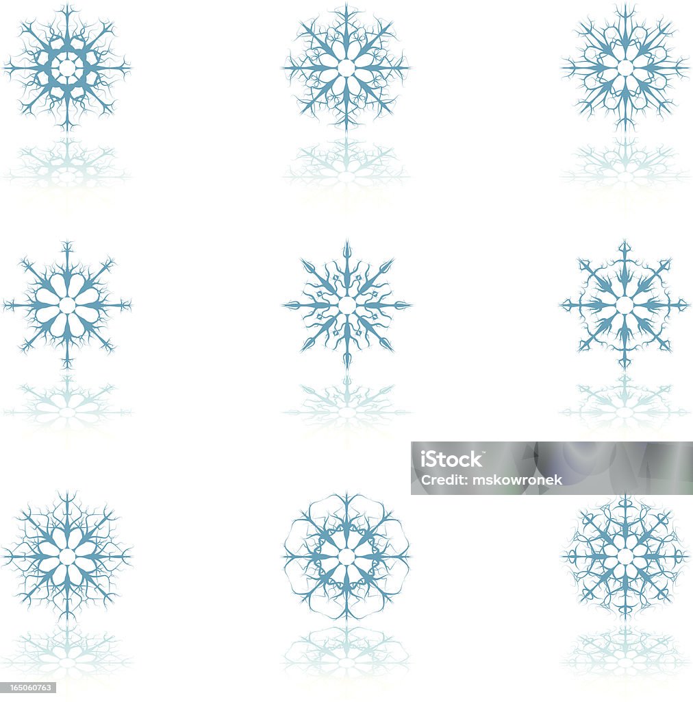 Altamente dettagliata icone di fiocchi di neve con motivo floreale - arte vettoriale royalty-free di A forma di stella