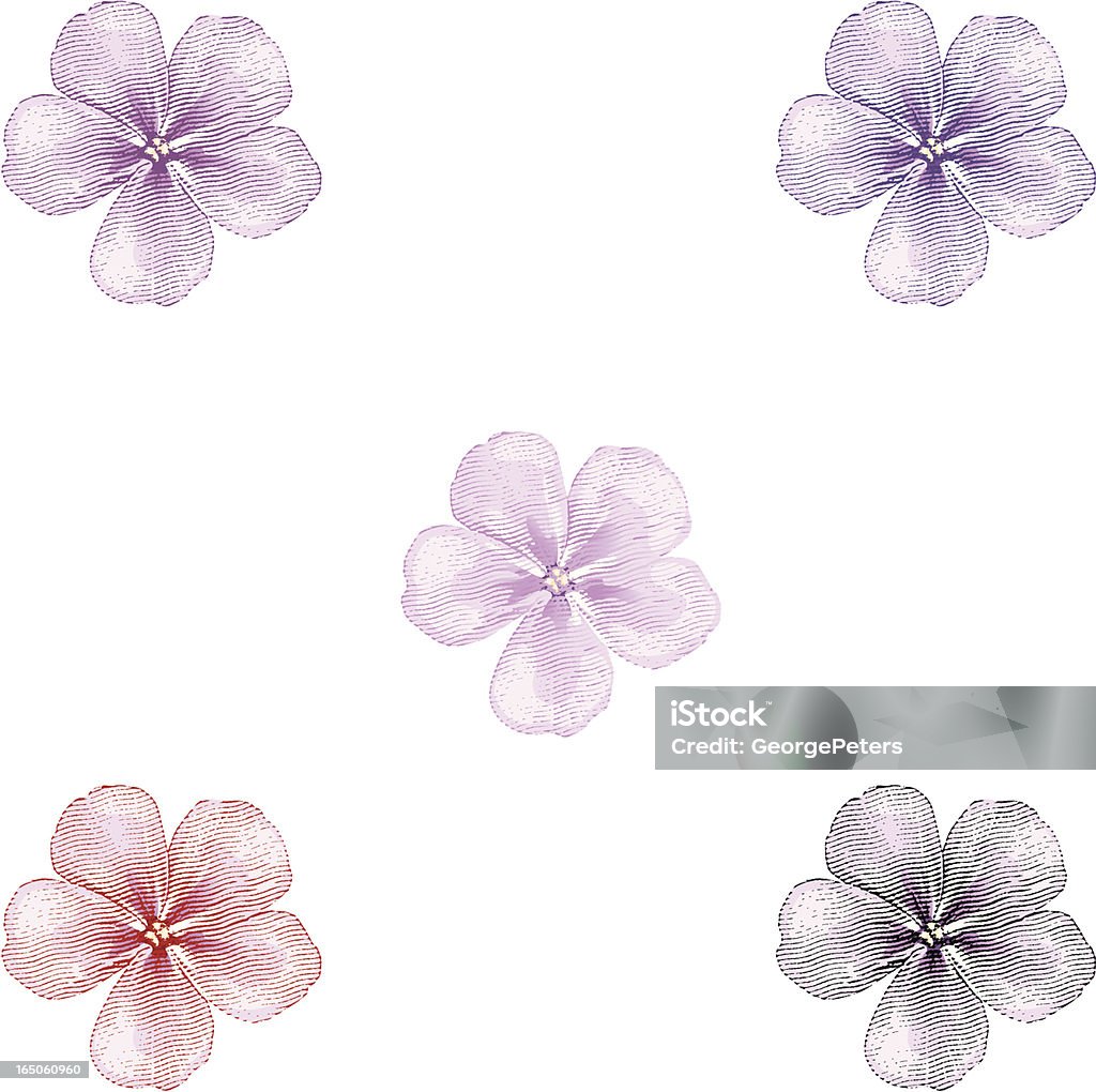 Phlox cerezos en flor - arte vectorial de Flor libre de derechos