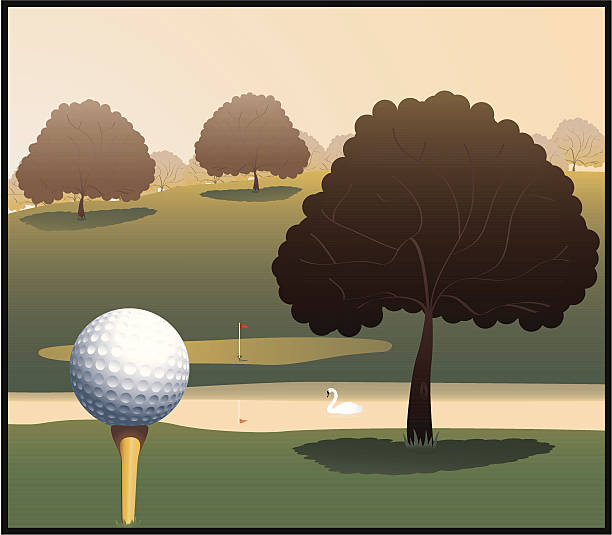 illustrations, cliparts, dessins animés et icônes de balle de golf sur tee et de vert herbe - water hazard illustrations