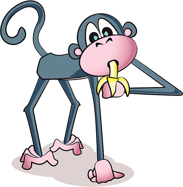 Monkey Eating Banana Stock Illustration - Download Image Now - Animal,  Animal Arm, Animal Body Part - iStock