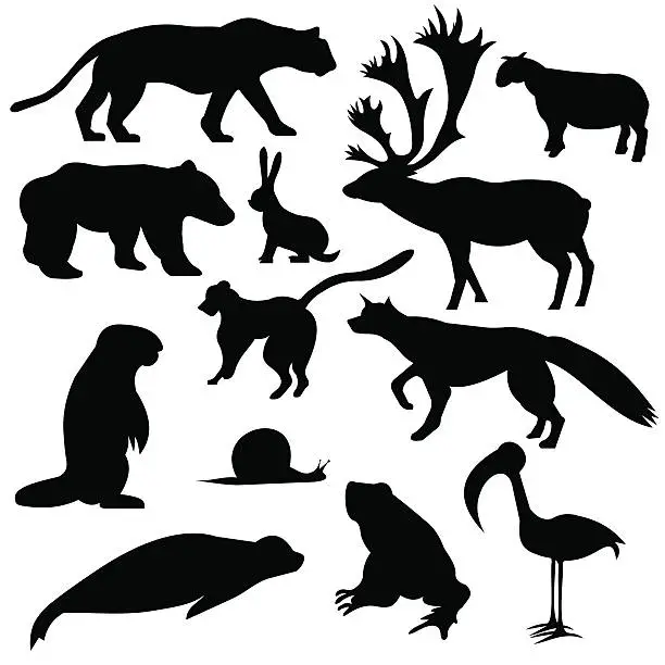 Vector illustration of Wildlife Silhouettes