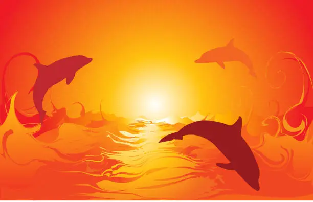 Vector illustration of Sunrise dolphins