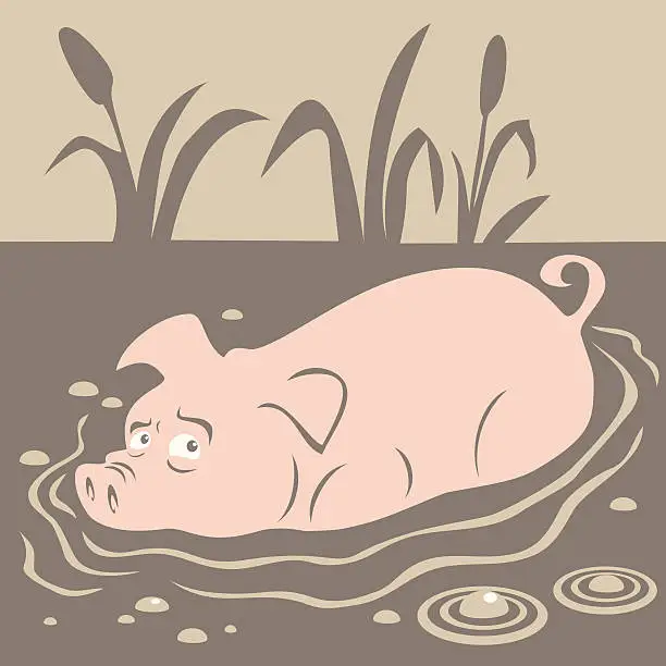 Vector illustration of pig in the mud