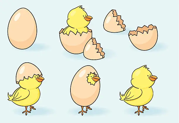 Vector illustration of Chicks and Eggs - incl. jpeg