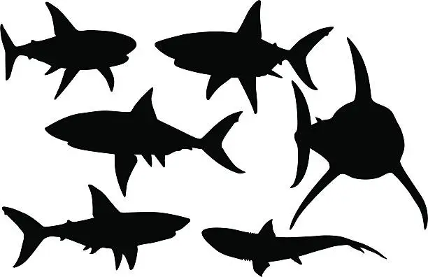 Vector illustration of Vector silhouettes of various sharks in black and white