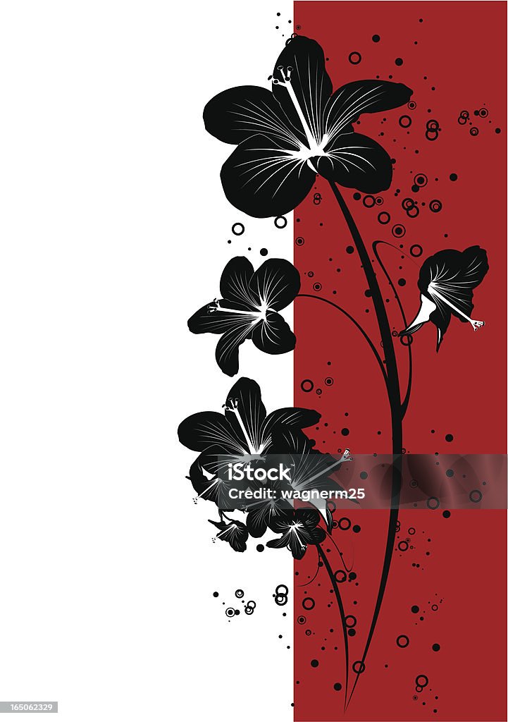 Ibisco nero, bianco e rosso - arte vettoriale royalty-free di Botanica
