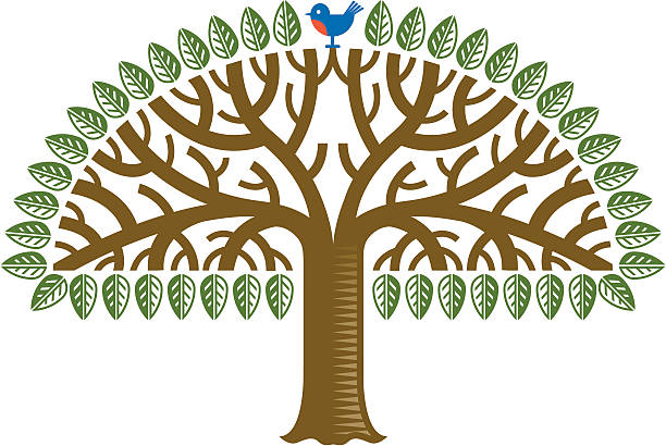 illustrations, cliparts, dessins animés et icônes de arbre avec des oiseaux de couleur - bush bird tree wood