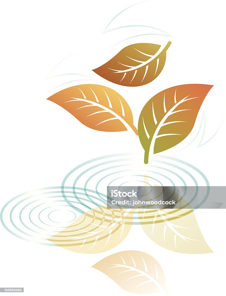 Leaf odbicia dwa. - Grafika wektorowa royalty-free (Bez ludzi)