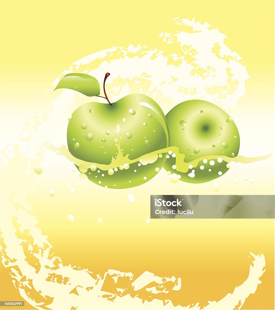 Fresh Green Apples fresh apples floating in water. all done in gradients. Fruit stock vector