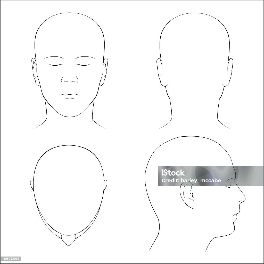 Human Head Surface Anatomy - Outline Front, back, top and profile views of the surface anatomy of the human head in outline.  Includes EPS, AI CS2 and hi-res JPG. Human Head stock vector