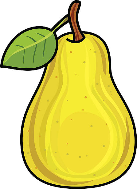 Golden pear Vector illustration of a delicious golden pear. Layers named for easy editing. Zipped file contains CS3 and hi-resolution jpeg. forelle pear stock illustrations