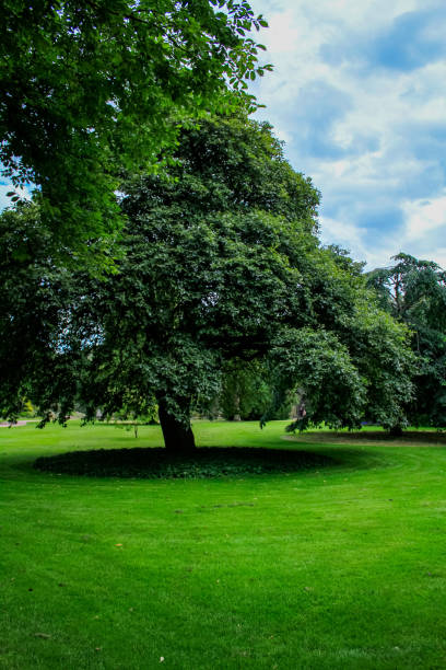 la vista interna del giardino del castello di stirling con alberi verdi - london england park whitehall street palace foto e immagini stock