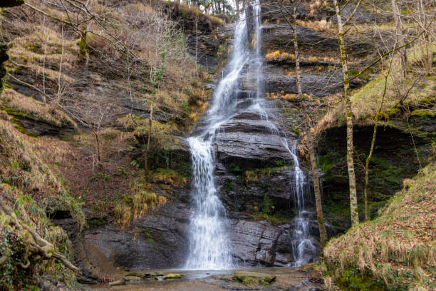 istock Majestic Beauty: Exploring the Enchanting Uguan Waterfall in Gorbea Natural Park, Vizcaya 1650636648