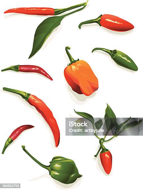 Ilustración de Red Hot Chili Peppers y más Vectores Libres de Derechos de Pimiento serrano - Pimiento serrano, Colorido, Comidas y bebidas