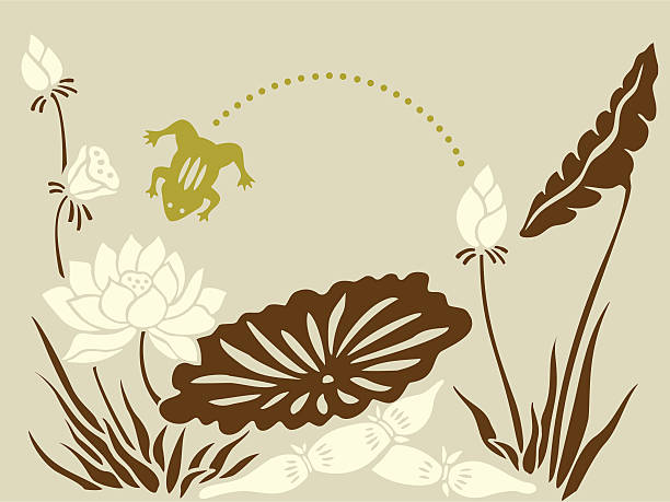 illustrations, cliparts, dessins animés et icônes de grenouille & lotus - zen like single flower lotus water lily