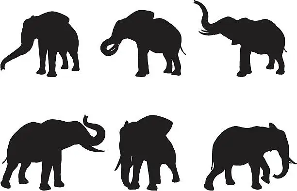 Vector illustration of Elephant Silhouette Collection