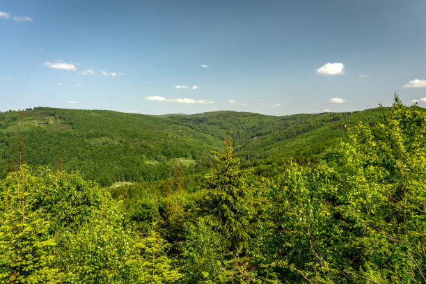 istock Silesian Beskids 1650639855