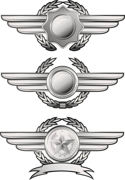 silver wing insignias - ranking medal first place laurel wreath stock-grafiken, -clipart, -cartoons und -symbole