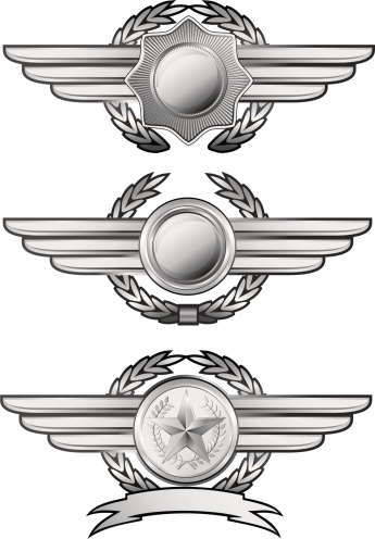 Three detailed silver winged insignias with stars laurel wreaths and ribbon to customize.
